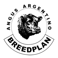 angus-argentino-breedplan-logo_transparent