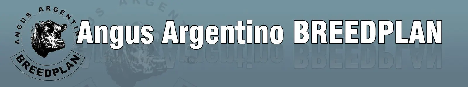 cropped-header_wp.jpg